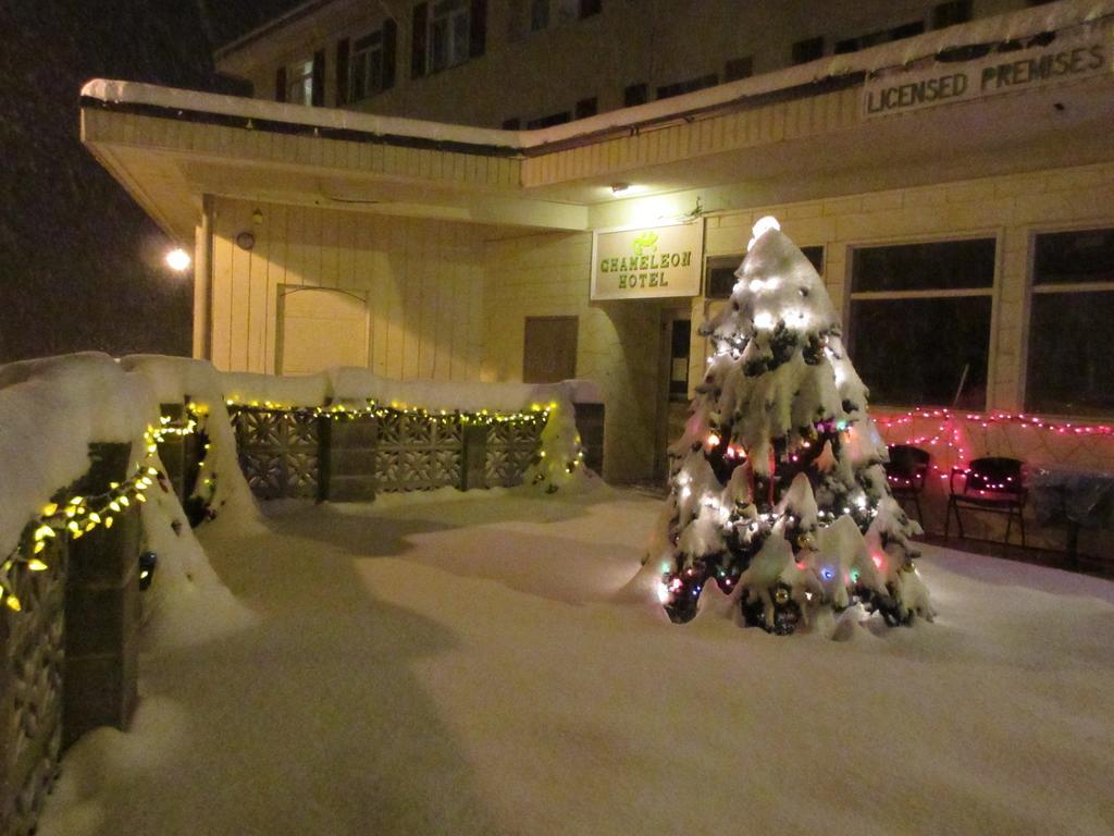Chameleon Hotel Castlegar Exterior foto